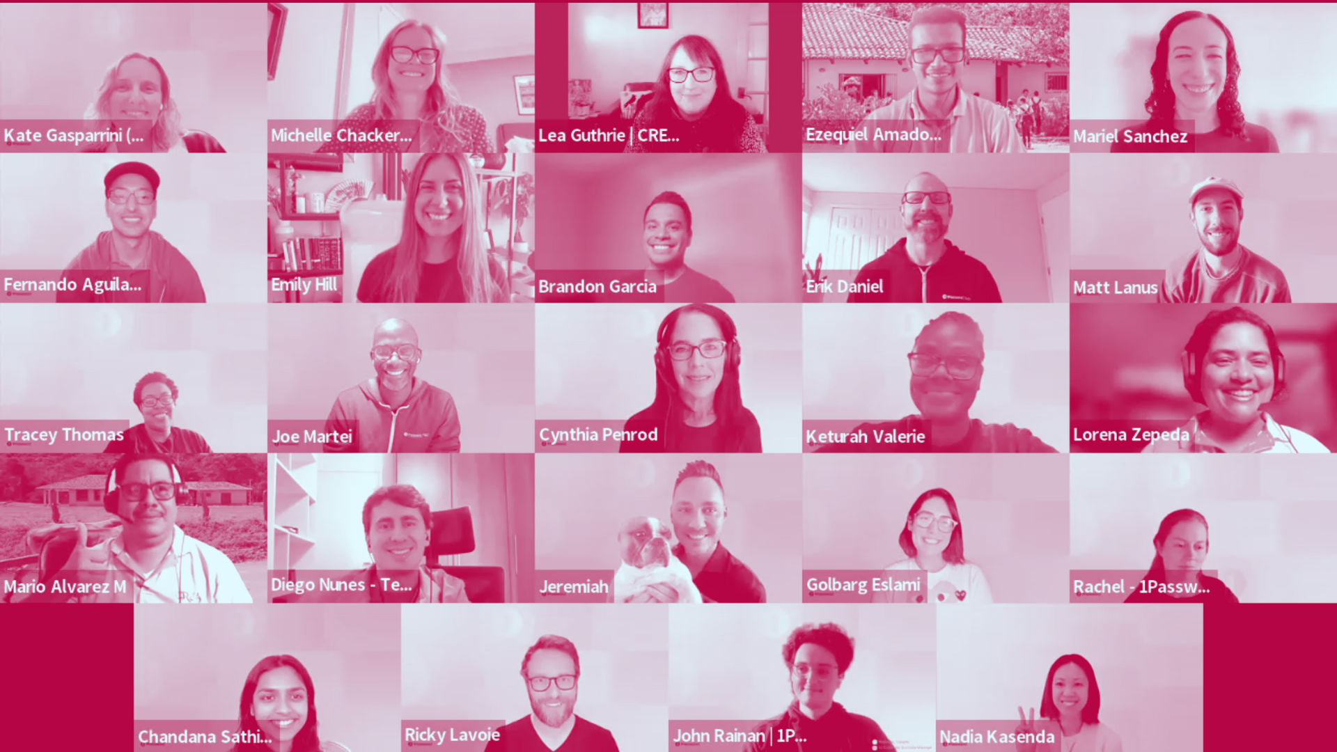 Developing Cybersecurity Solutions for a Nicaraguan NGO